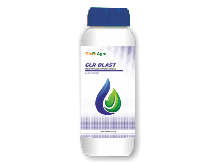 GLR-BLAST