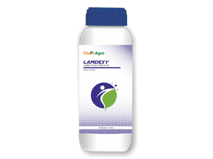 LAMDEXY
