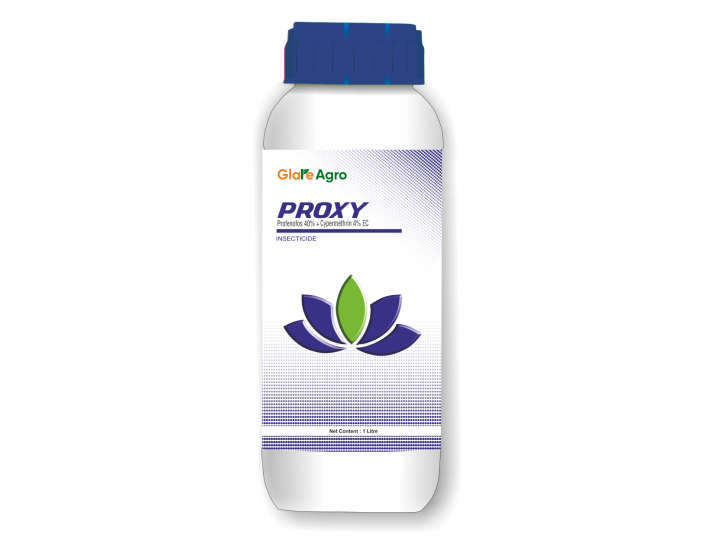 PROXY